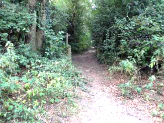 Photo of Trail Entrance
